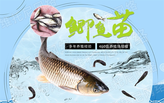 東莞市沙田鴻運(yùn)魚苗養(yǎng)殖場